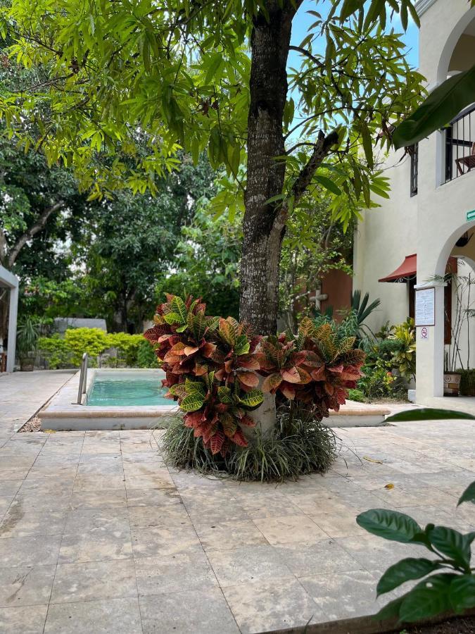 Casa Valladolid Boutique Hotel Экстерьер фото